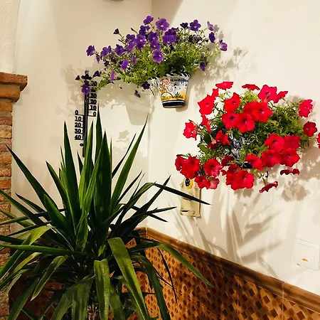 Al-mudawar Bed and breakfast Almodóvar del Río