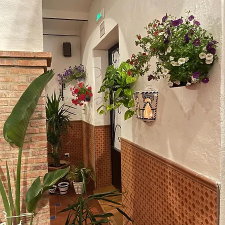 Bed and breakfast Al-mudawar