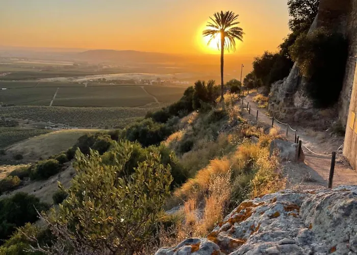 Al-mudawar Bed and breakfast 3*